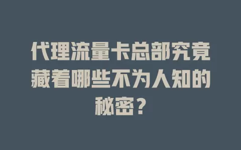 代理流量卡总部究竟藏着哪些不为人知的秘密？