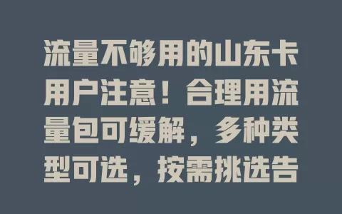流量不够用的山东卡用户注意！合理用流量包可缓解，多种类型可选，按需挑选告别焦虑