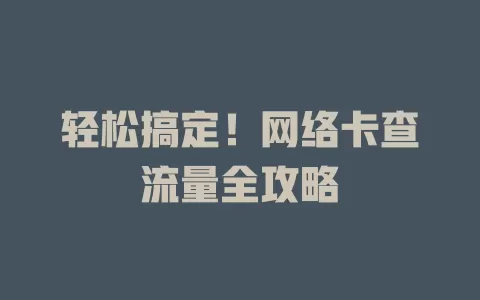 轻松搞定！网络卡查流量全攻略
