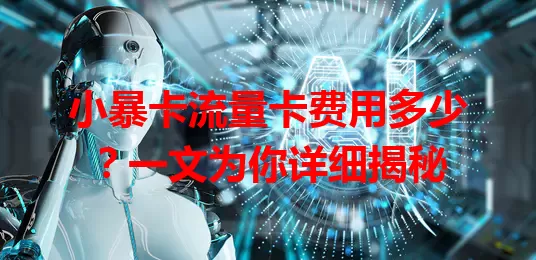 小暴卡流量卡费用多少？一文为你详细揭秘