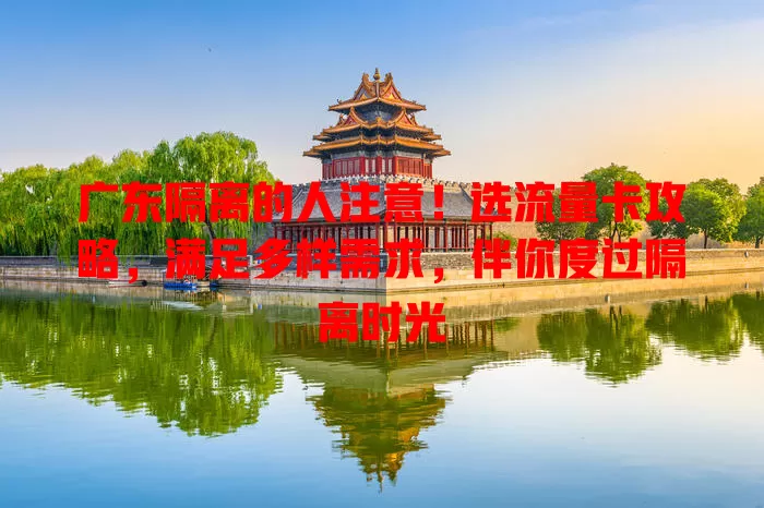 广东隔离的人注意！选流量卡攻略，满足多样需求，伴你度过隔离时光
