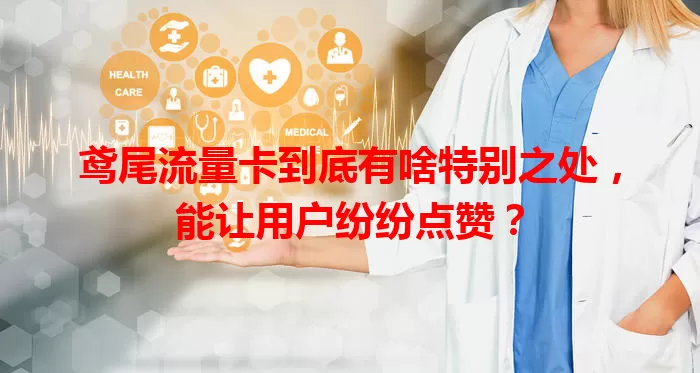 鸢尾流量卡到底有啥特别之处，能让用户纷纷点赞？