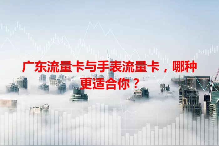 广东流量卡与手表流量卡，哪种更适合你？