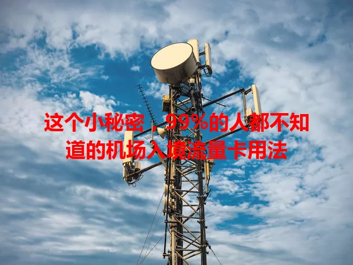 这个小秘密，99%的人都不知道的机场入境流量卡用法