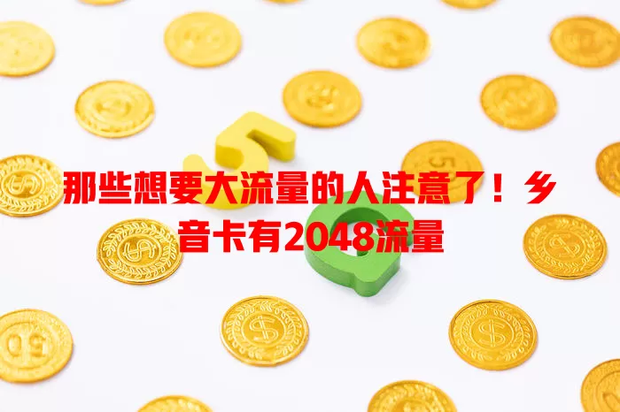 那些想要大流量的人注意了！乡音卡有2048流量