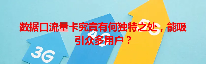 数据口流量卡究竟有何独特之处，能吸引众多用户？