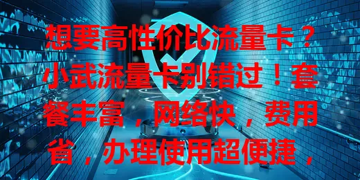 想要高性价比流量卡？小武流量卡别错过！套餐丰富，网络快，费用省，办理使用超便捷，给你优质流量体验！