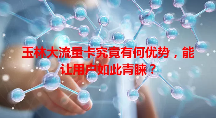 玉林大流量卡究竟有何优势，能让用户如此青睐？