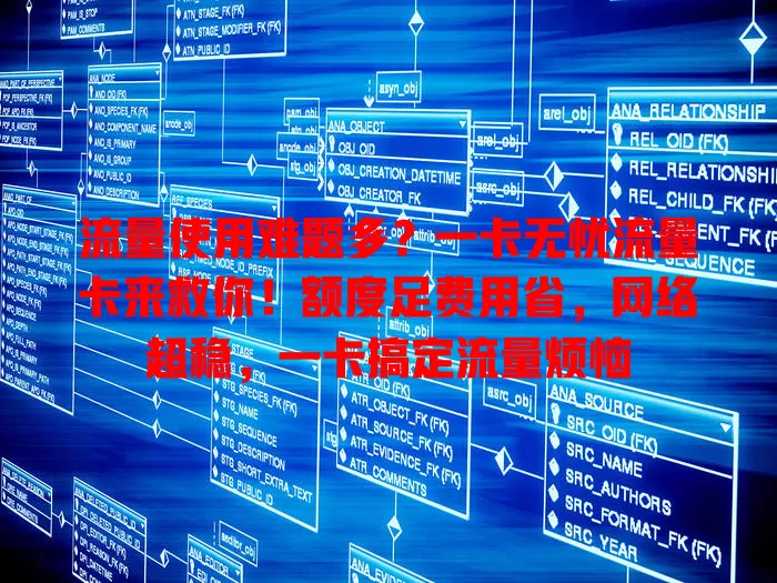 流量使用难题多？一卡无忧流量卡来救你！额度足费用省，网络超稳，一卡搞定流量烦恼