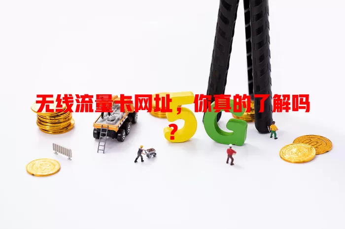 无线流量卡网址，你真的了解吗？