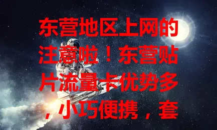 东营地区上网的注意啦！东营贴片流量卡优势多，小巧便携，套餐丰富，网络覆盖广且稳，信号强，费用透明，是满足你上网需求的理想之选