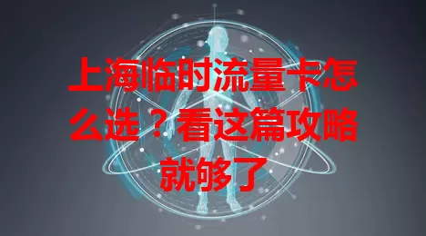 上海临时流量卡怎么选？看这篇攻略就够了