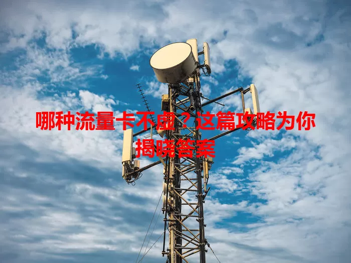 哪种流量卡不虚？这篇攻略为你揭晓答案
