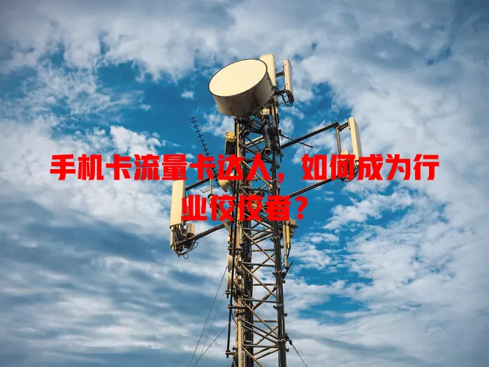 手机卡流量卡达人，如何成为行业佼佼者？