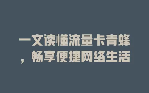 一文读懂流量卡青蜂，畅享便捷网络生活