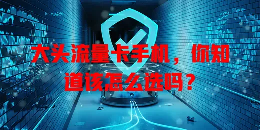大头流量卡手机，你知道该怎么选吗？