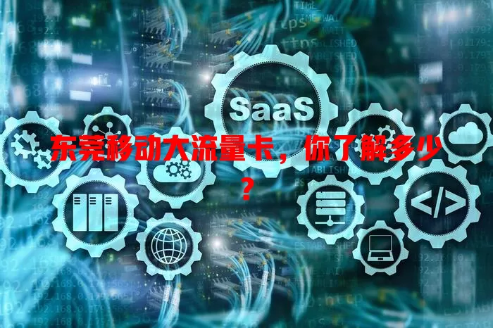 东莞移动大流量卡，你了解多少？