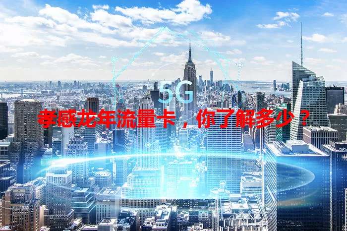 孝感龙年流量卡，你了解多少？