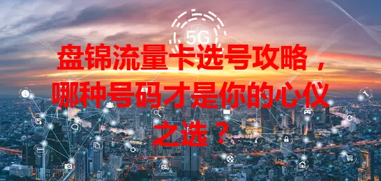 盘锦流量卡选号攻略，哪种号码才是你的心仪之选？
