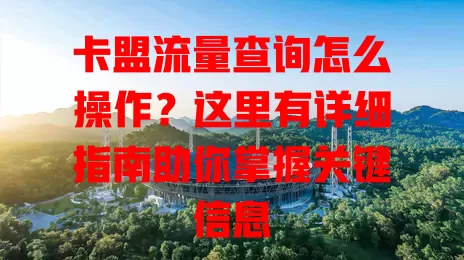 卡盟流量查询怎么操作？这里有详细指南助你掌握关键信息