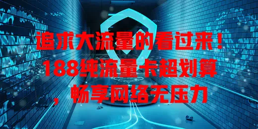 追求大流量的看过来！188纯流量卡超划算，畅享网络无压力