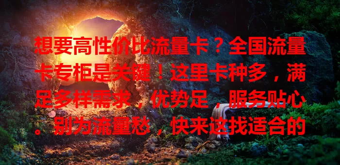 想要高性价比流量卡？全国流量卡专柜是关键！这里卡种多，满足多样需求，优势足，服务贴心。别为流量愁，快来这找适合的卡，开启便捷网络生活！