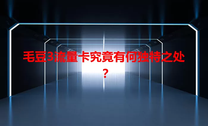毛豆3流量卡究竟有何独特之处？