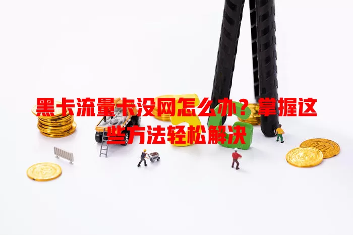 黑卡流量卡没网怎么办？掌握这些方法轻松解决