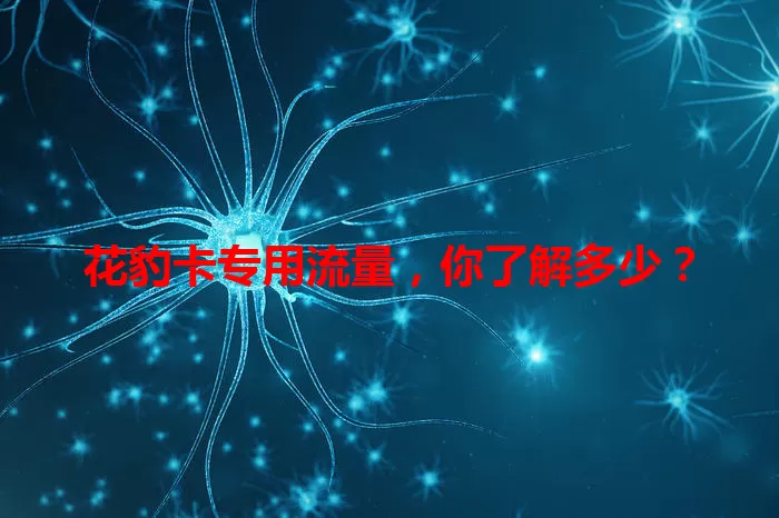 花豹卡专用流量，你了解多少？