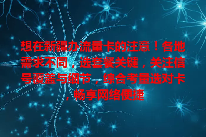想在新疆办流量卡的注意！各地需求不同，选套餐关键，关注信号覆盖与细节，综合考量选对卡，畅享网络便捷