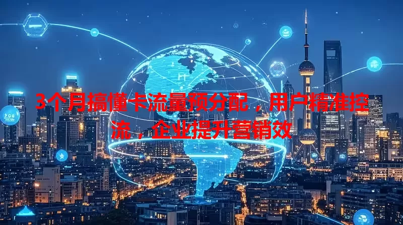 3个月搞懂卡流量预分配，用户精准控流，企业提升营销效