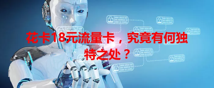 花卡18元流量卡，究竟有何独特之处？
