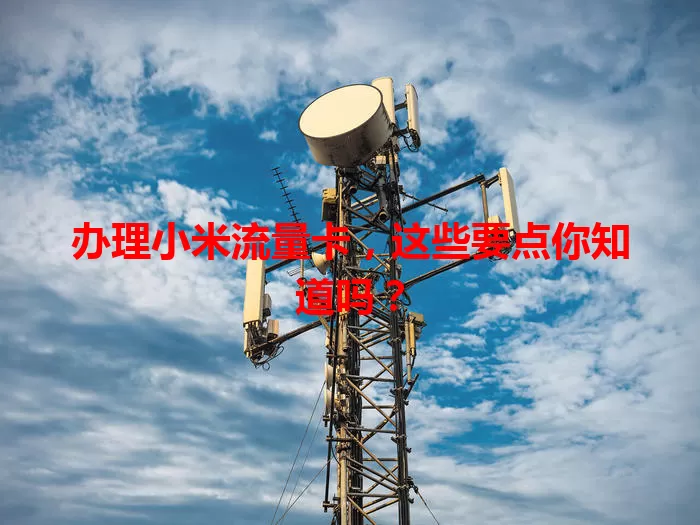 办理小米流量卡，这些要点你知道吗？