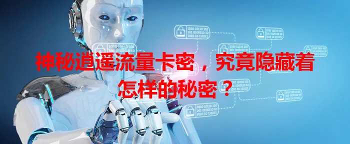 神秘逍遥流量卡密，究竟隐藏着怎样的秘密？