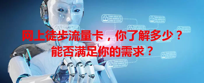 网上徒步流量卡，你了解多少？能否满足你的需求？