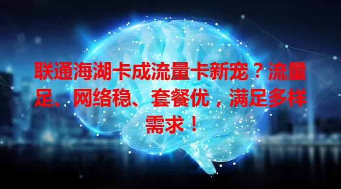 联通海湖卡成流量卡新宠？流量足、网络稳、套餐优，满足多样需求！