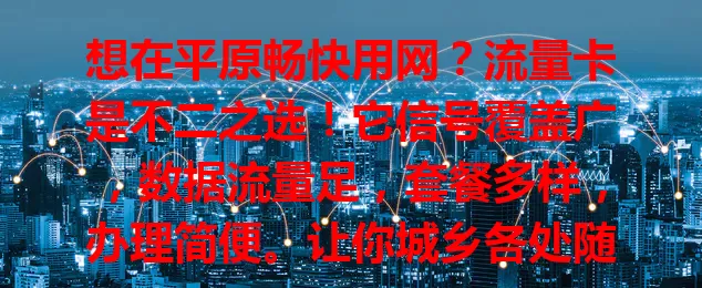 想在平原畅快用网？流量卡是不二之选！它信号覆盖广，数据流量足，套餐多样，办理简便。让你城乡各处随时连网，畅享资源，按需选套餐，开启便捷上网之旅！