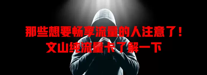 那些想要畅享流量的人注意了！文山纯流量卡了解一下