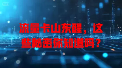 流量卡山东醒，这些秘密你知道吗？