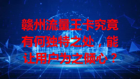 赣州流量王卡究竟有何独特之处，能让用户为之倾心？