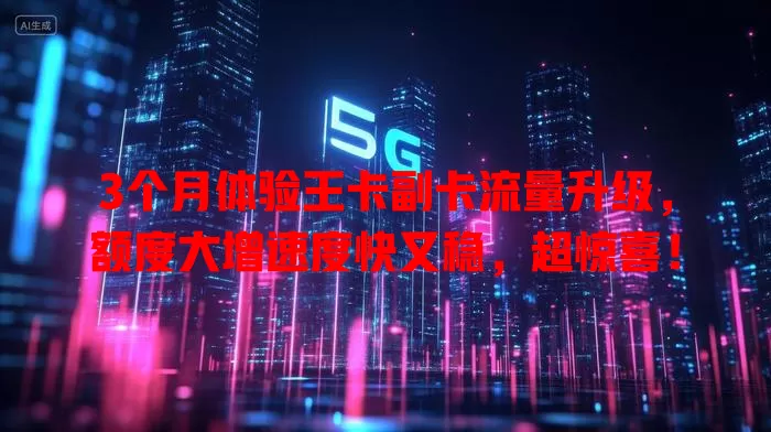 3个月体验王卡副卡流量升级，额度大增速度快又稳，超惊喜！