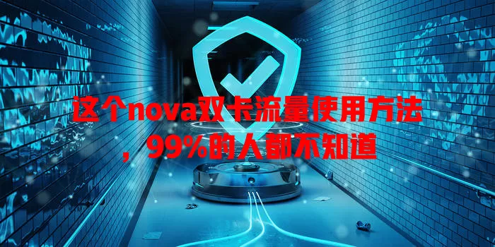 这个nova双卡流量使用方法，99%的人都不知道
