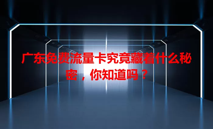 广东免费流量卡究竟藏着什么秘密，你知道吗？
