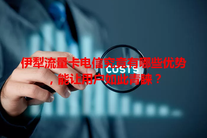 伊犁流量卡电信究竟有哪些优势，能让用户如此青睐？