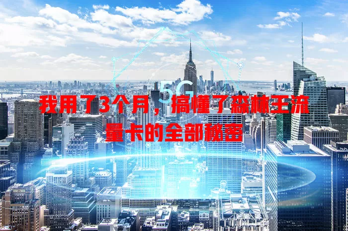 我用了3个月，搞懂了森林王流量卡的全部秘密