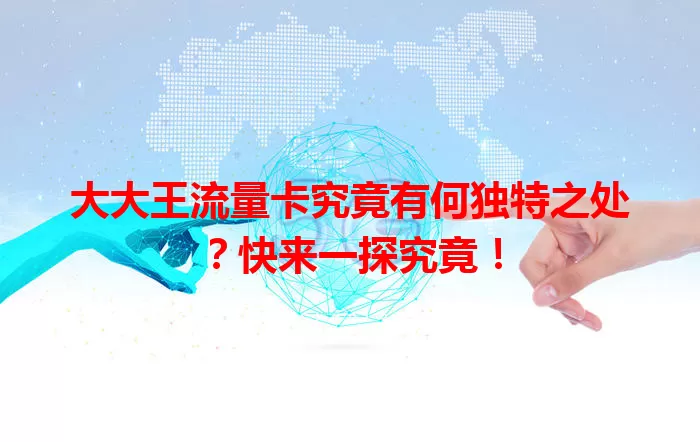 大大王流量卡究竟有何独特之处？快来一探究竟！