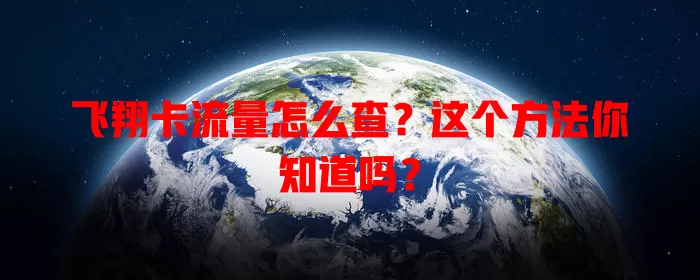 飞翔卡流量怎么查？这个方法你知道吗？