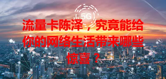 流量卡陈泽，究竟能给你的网络生活带来哪些惊喜？