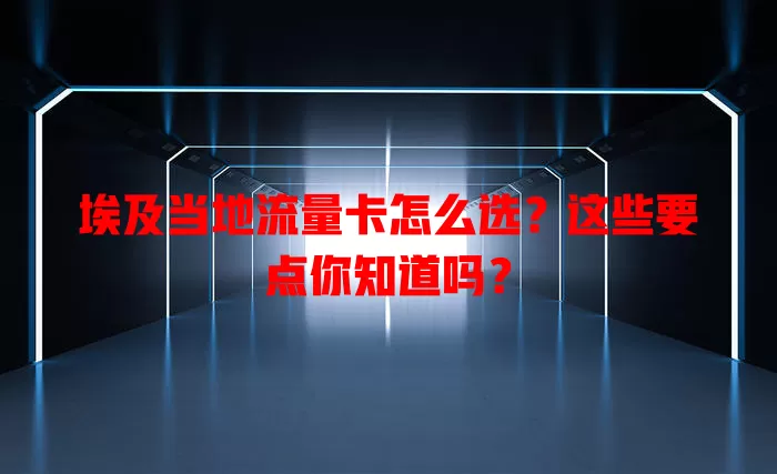 埃及当地流量卡怎么选？这些要点你知道吗？