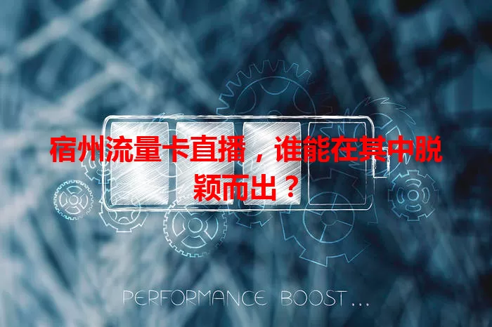 宿州流量卡直播，谁能在其中脱颖而出？